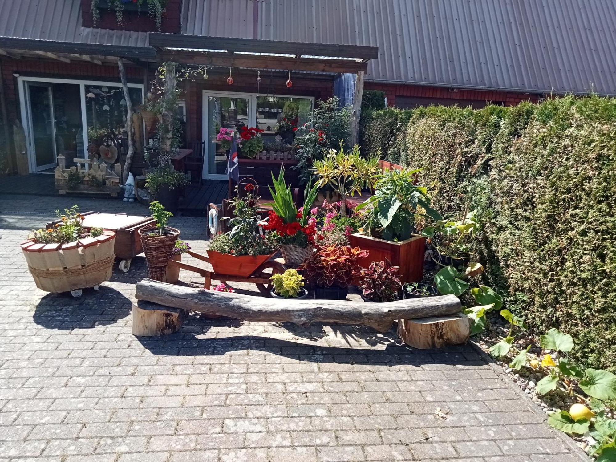 Auszeit-Schoenenwalde Papenhagen Eksteriør bilde